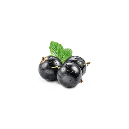 Black-Currant